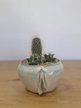 Load image into Gallery viewer, Planter Lynn without cactus, front, planted, straight on

