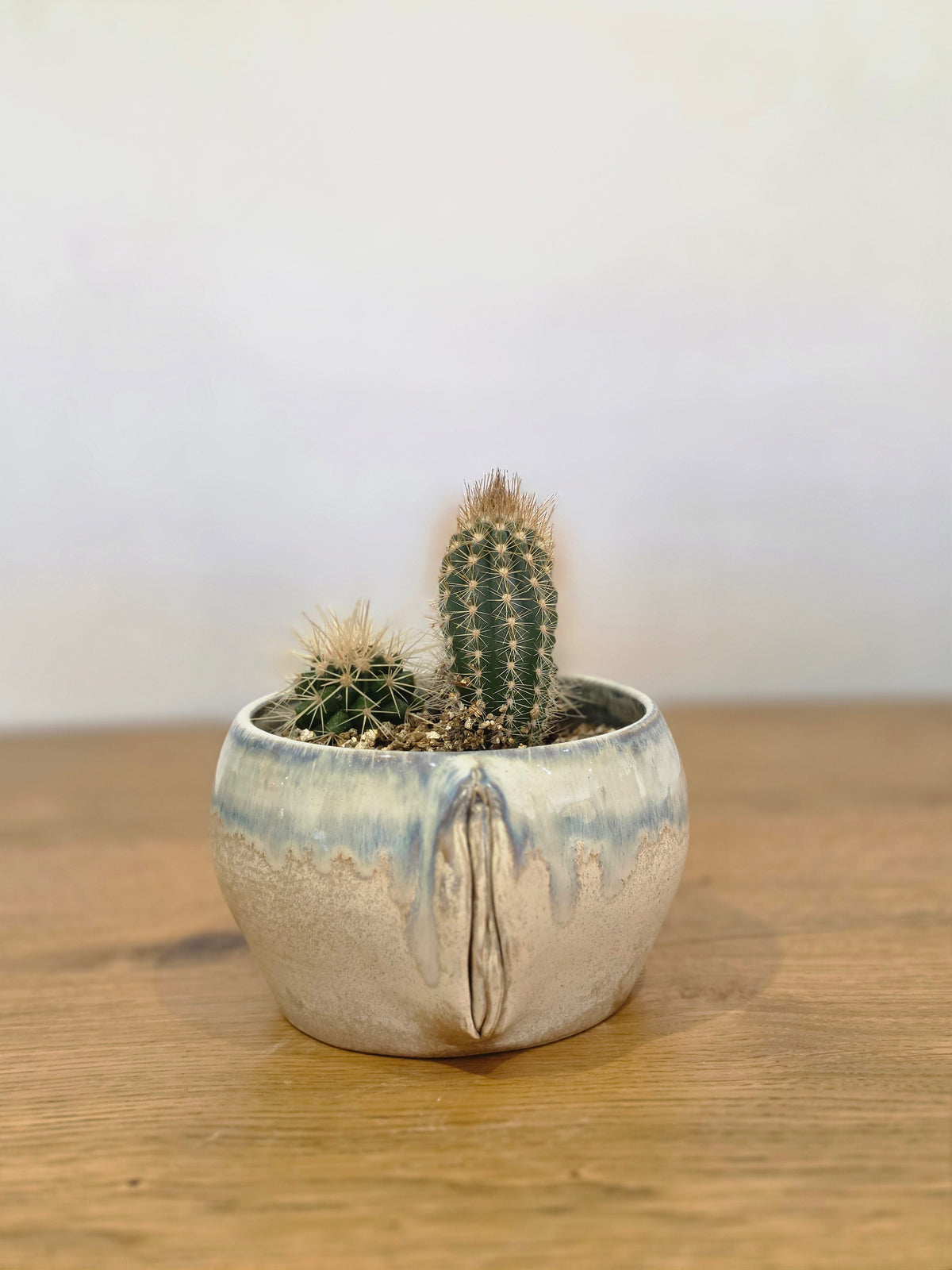Planter Sophia without cactus, front, planted, three quarter