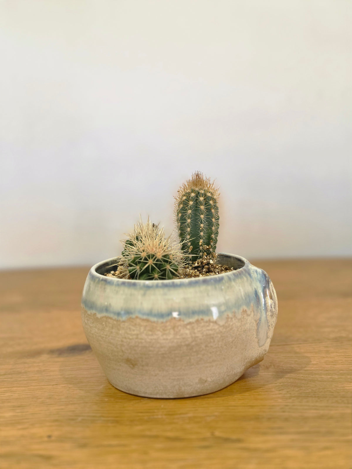 Planter Sophia without cactus, side, planted, back