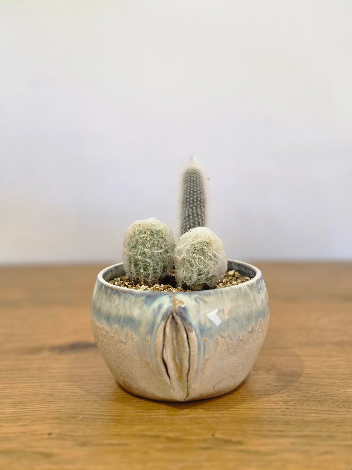 Planter Barbara without cactus, front, planted