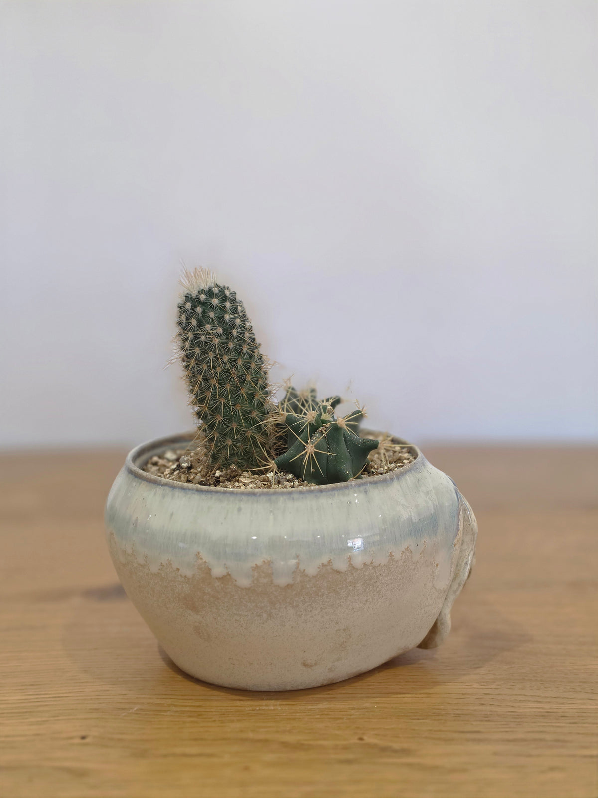Planter Lynn without cactus, side, planted